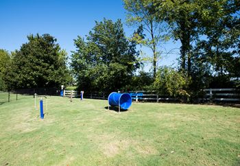 Dog park view